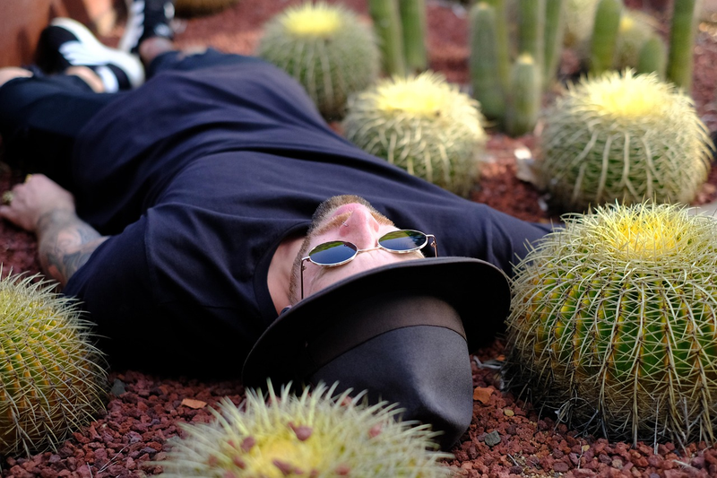 Corpse Flower